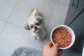 犬のための生肉食パ…の画像