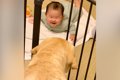 0歳の赤ちゃんがいる…の画像