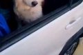 『なんやねんこいつ…の画像