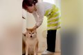 絶対に冷蔵庫の前か…の画像
