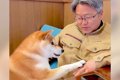 犬とお父さんを撮影…の画像