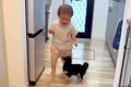 小さな男の子と赤ち…の画像