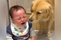 空腹で泣く赤ちゃん→…の画像
