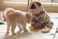 赤ちゃんと犬を『こ…の画像