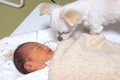 赤ちゃんと犬が『初…の画像