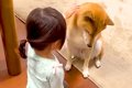 2歳の女の子を『家族…の画像