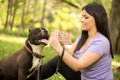 犬の口輪について　…の画像