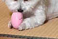 『絶対に取られたく…の画像