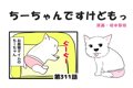 ちーちゃんですけど…の画像