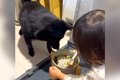 娘が犬のご飯に『お…の画像