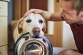 犬が『早くご飯食べ…の画像