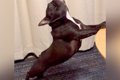 毎日ストレッチを欠…の画像