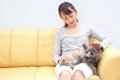犬が『飼い主の近く…の画像