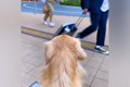 駅前までパパを迎え…の画像