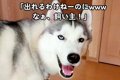 『出れるわけないよ…の画像