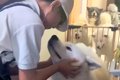 修学旅行から帰って…の画像