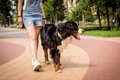 『モラルがない犬の…の画像