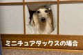 『自分は小さい』と…の画像