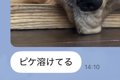 夏休みで家にいる娘…の画像