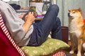 父がスマホを操作し…の画像
