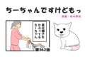 ちーちゃんですけど…の画像