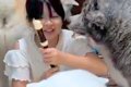夏休み、女の子が『…の画像