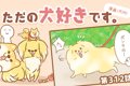 ただの犬好きです。…の画像