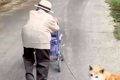 カートを押す『100歳…の画像