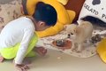 リンゴを食べている…の画像