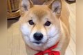寝る時間になったの…の画像