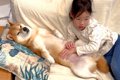 5歳の女の子が『犬の…の画像