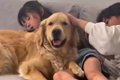 2人の女の子が『幼少…の画像