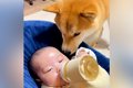 『赤ちゃんが生まれ…の画像