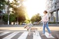 『盲導犬に絶対して…の画像