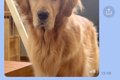 姉から突然のLINE→開…の画像