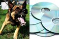 探知犬はDVDも嗅ぎ分…の画像