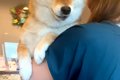 『病院なんて、聞い…の画像