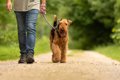 犬の散歩をする時に…の画像