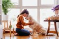 『飼い主に従順な犬…の画像