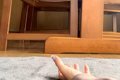 『おいで』と手を出…の画像