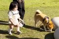 １歳の女の子が『初…の画像