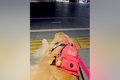 夏休み、普段は離れ…の画像
