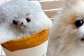 犬型の可愛いクレー…の画像