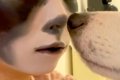 『犬と顔が似ている…の画像