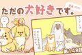 ただの犬好きです。…の画像