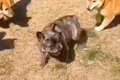 他所で断られ続けた…の画像