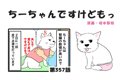 ちーちゃんですけど…の画像