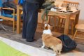 お兄ちゃんが帰省し…の画像