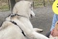 距離感がバグってい…の画像