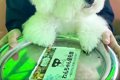 遊園地の『コーヒー…の画像